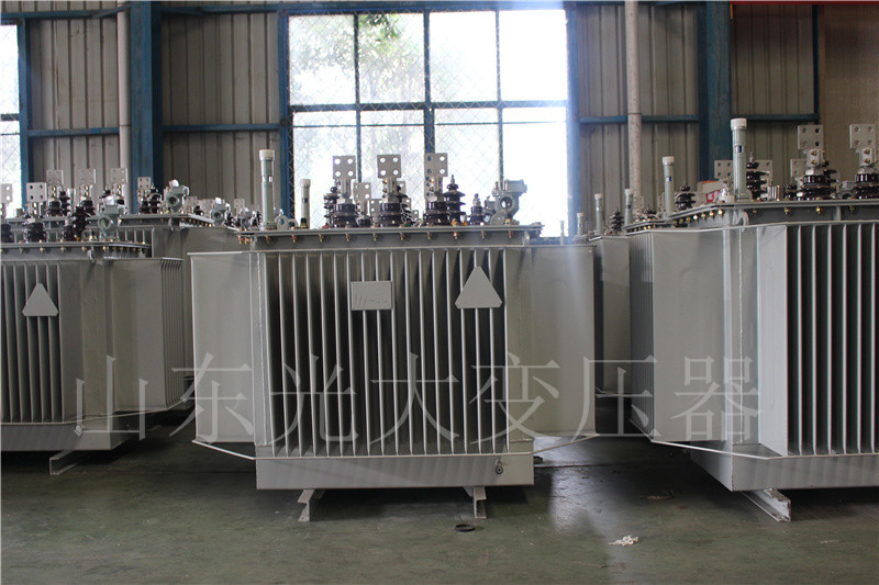 万山S20-500KVA/10KV